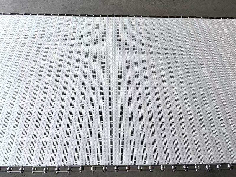 塑料清洗输送带